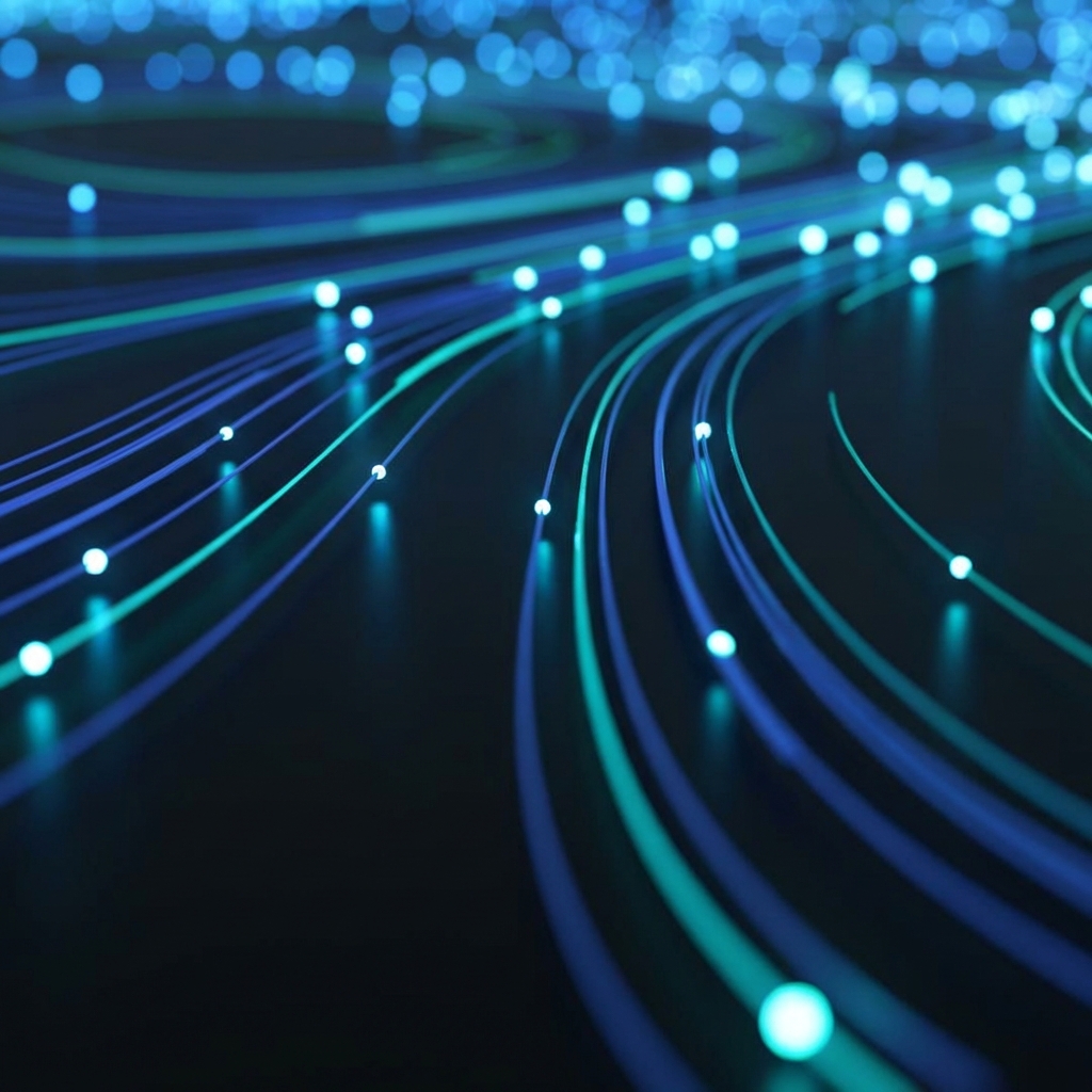 Fiber Switch Connectivity